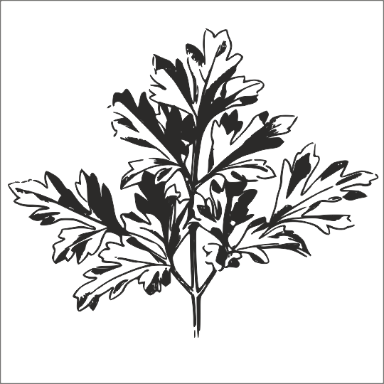 AĞAÇ VE GÜL RESİMLERİ FOLYO STİCKER