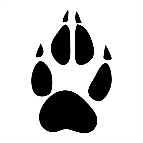 PATİ İZİ FOLYO STİCKER