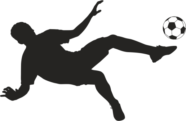 SPORCU FOLYO STİCKER DERSTVE46121