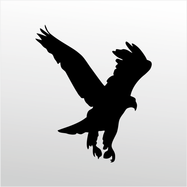 Folyo Sticker Kartal ADKPQUY621