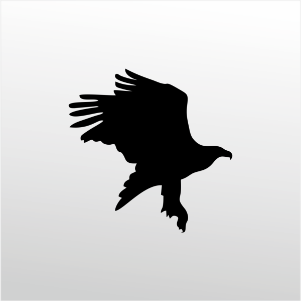 Folyo Sticker Kartal ADKPQUY624