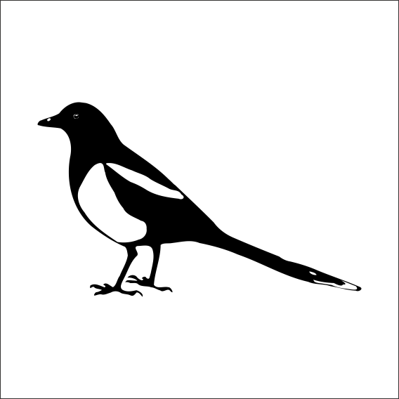 ALACA KARGA FOLYO STİCKER