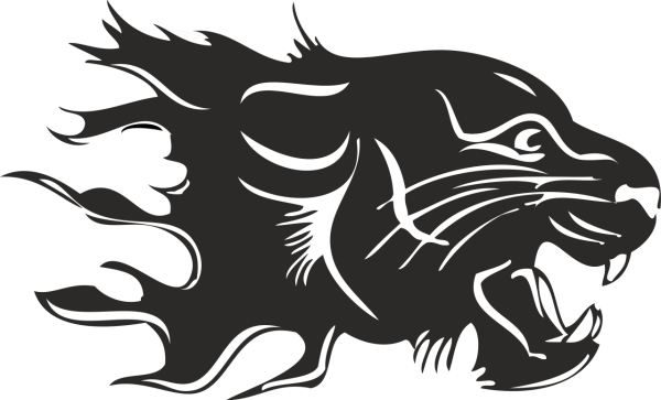 ASLAN 11 FOLYO STİCKER