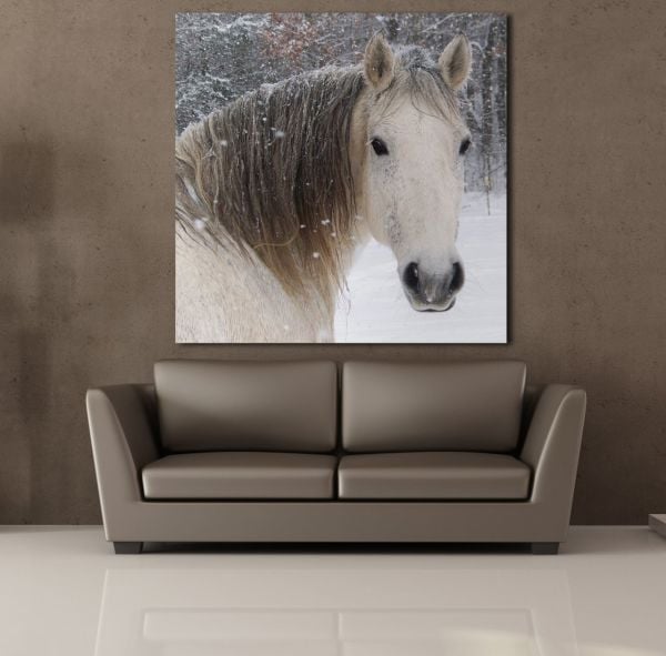 MASUM AT KANVAS TABLO