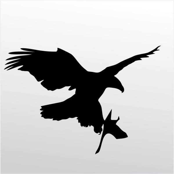 Folyo Sticker Kartal ADKPQUY625