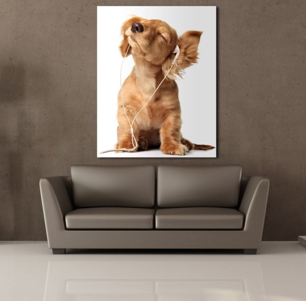 MÜZİK DİNLEYEN KÖPEK KANVAS TABLO