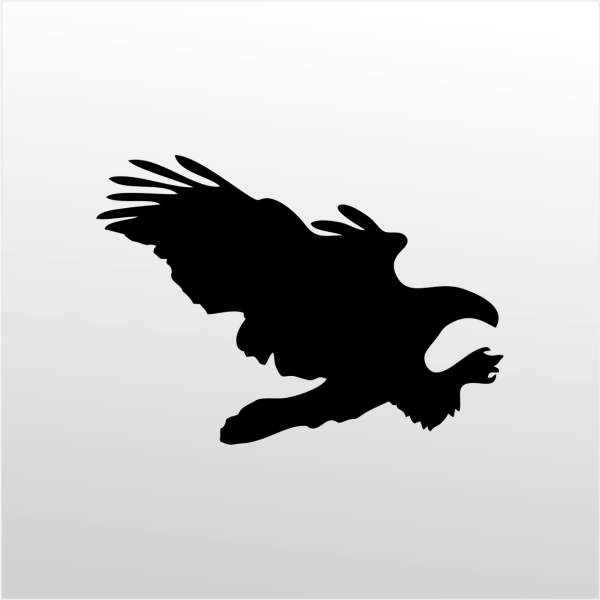 Folyo Sticker Kartal ADKPQUY628