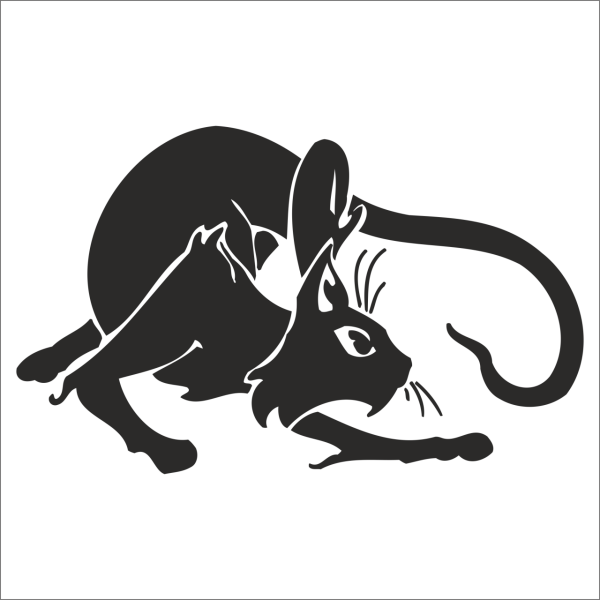 KEDİ FOLYO STİCKER