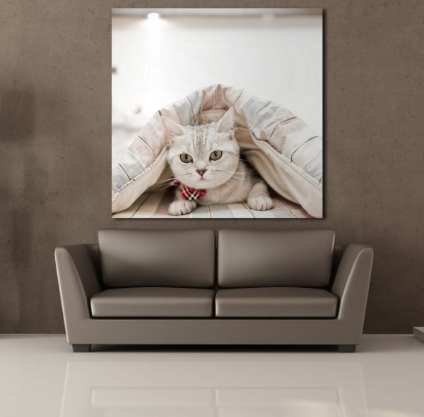 SEVİMLİ KEDİ KANVAS TABLO