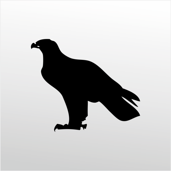 Folyo Sticker Kartal ADKPQUY630