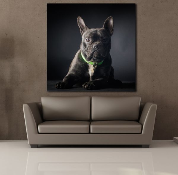 SİYAH KÖPEK KANVAS TABLO