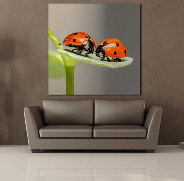 UĞUR BÖCEKLERİ KANVAS TABLO