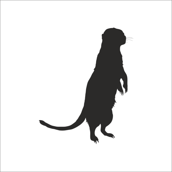 GELİNCİK FOLYO STİCKER