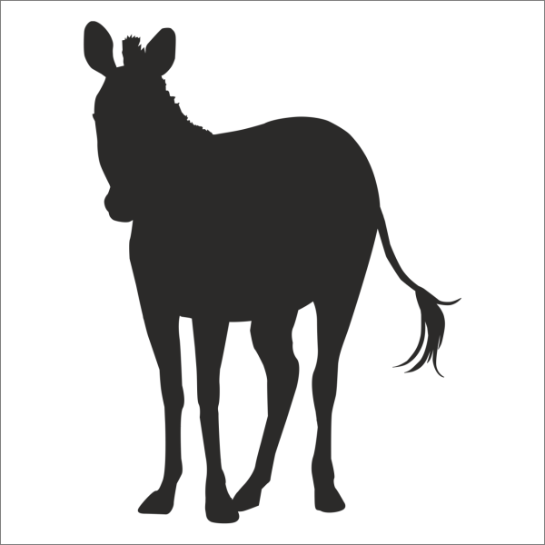 ZEBRA FOLYO STİCKER