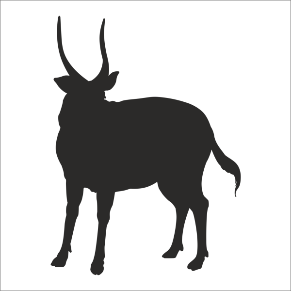 GEYİK FOLYO STİCKER