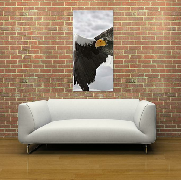 Kartal Kanvas Tablo