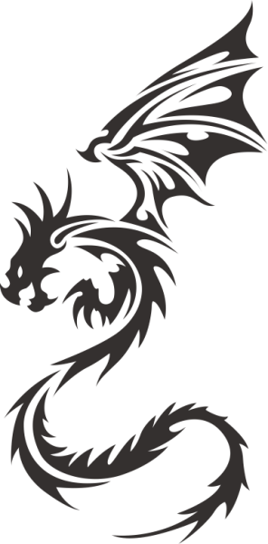 EJDERHA FOLYO STİCKER