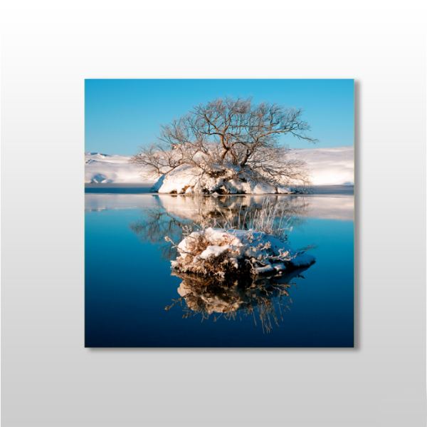 Göl Ve Kuruyan Ağaç Kanvas Tablo