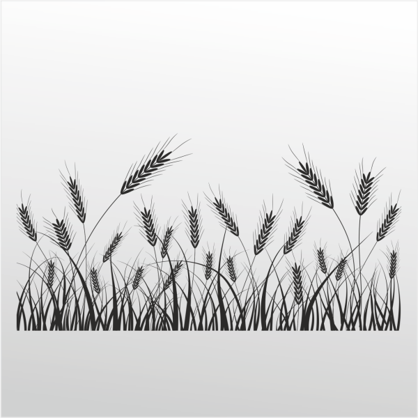 Folyo Sticker Buğday