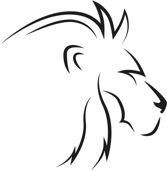 ASLAN 5 FOLYO STİCKER