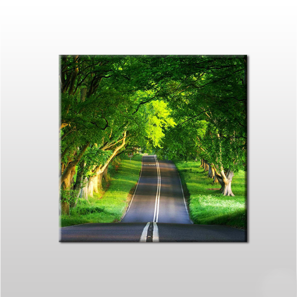 Orman İçindeki Yol Kanvas Tablo