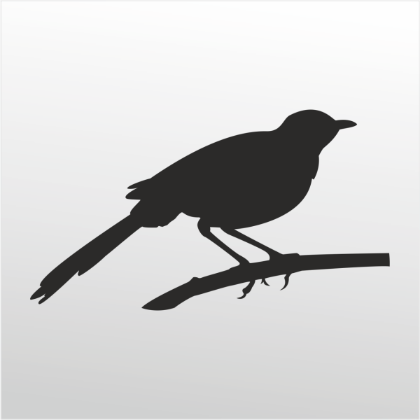 Folyo Sticker Arı Kuşu