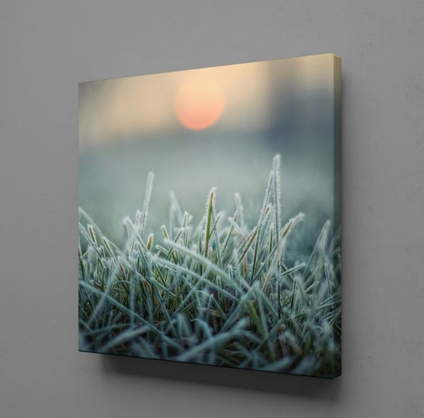 BUĞDAY BAŞAKLARI KANVAS TABLO