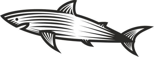 KÖPEK BALIĞI FOLYO STİCKER DERSTVE46147