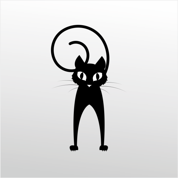 Folyo Sticker Şaşkın Kedi