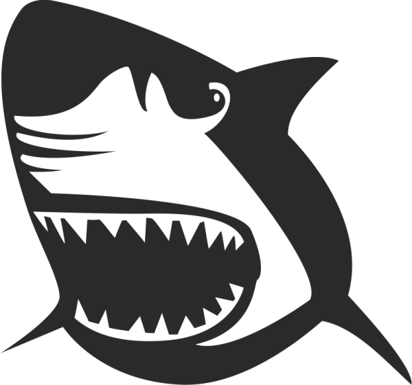 KÖPEK BALIĞI FOLYO STİCKER DERSTVE46149