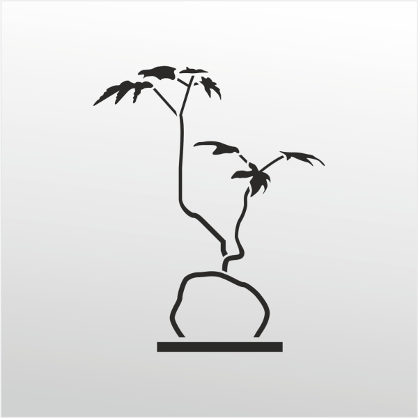 Folyo Sticker Taş Ve Ağaç