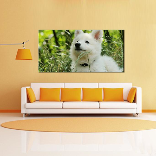 Beyaz Köpek Kanvas Tablo