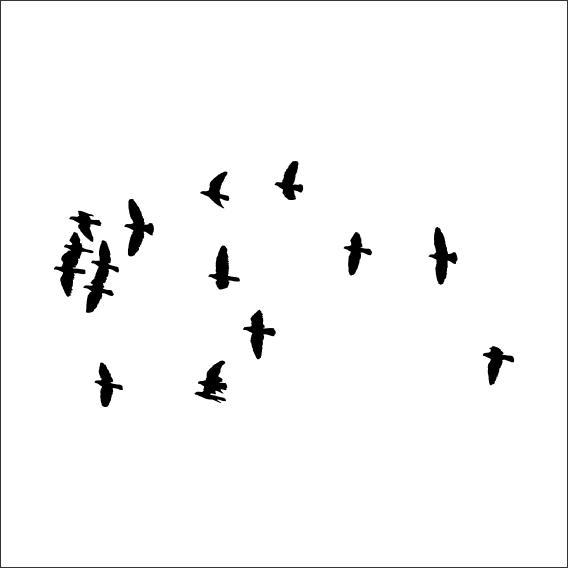 KUŞLAR FOLYO STİCKER