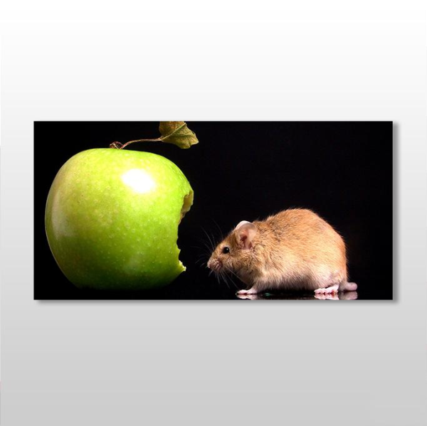 Elma Ve Hamster Kanvas Tablo