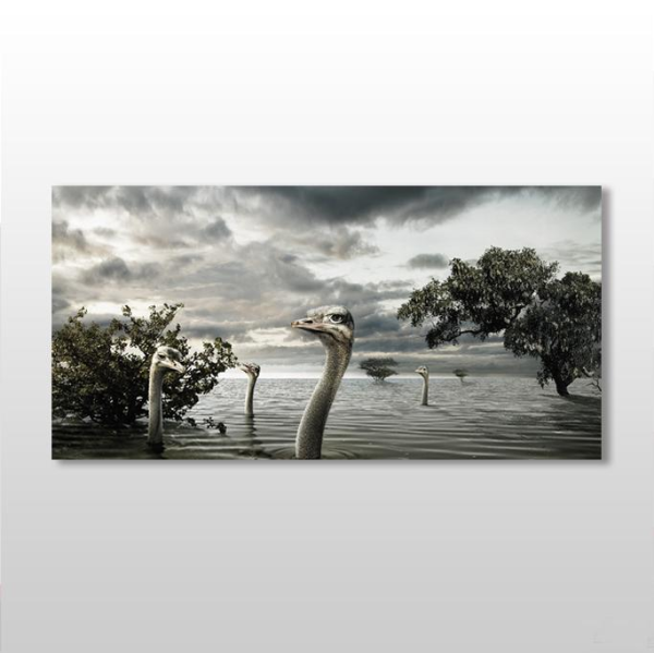 Göldeki Ördekler Kanvas Tablo