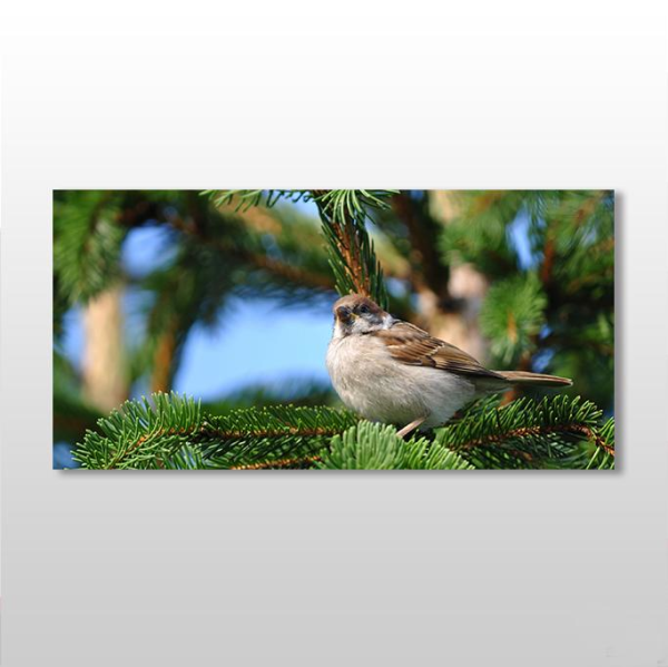 Serçe Kanvas Tablo