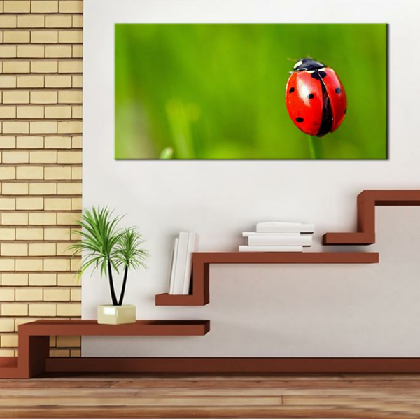 Uğur Böceği Kanvas Tablo