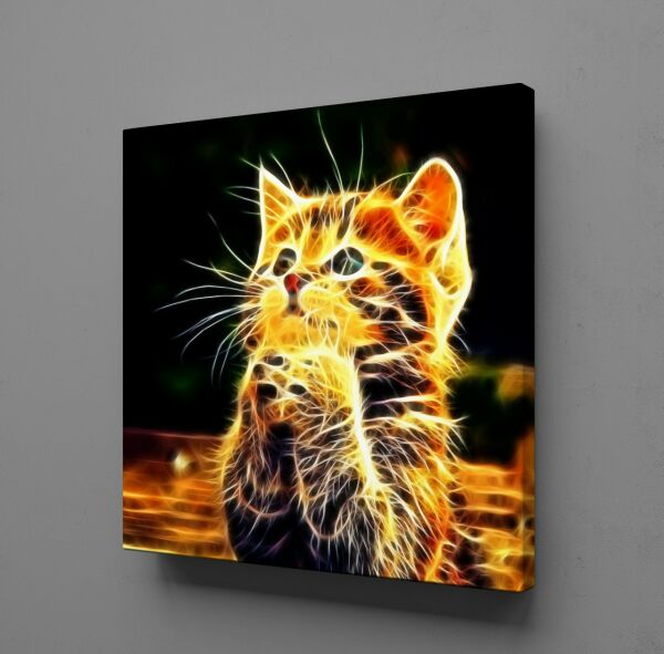IŞILTILI KEDİ KANVAS TABLO