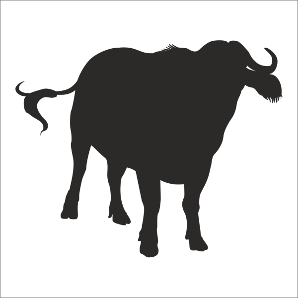 MANDA FOLYO STİCKER