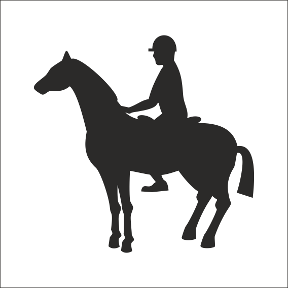 BİNİCİ FOLYO STİCKER