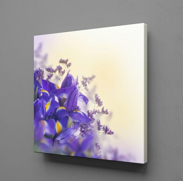 MOR MENEKŞELER KANVAS TABLO