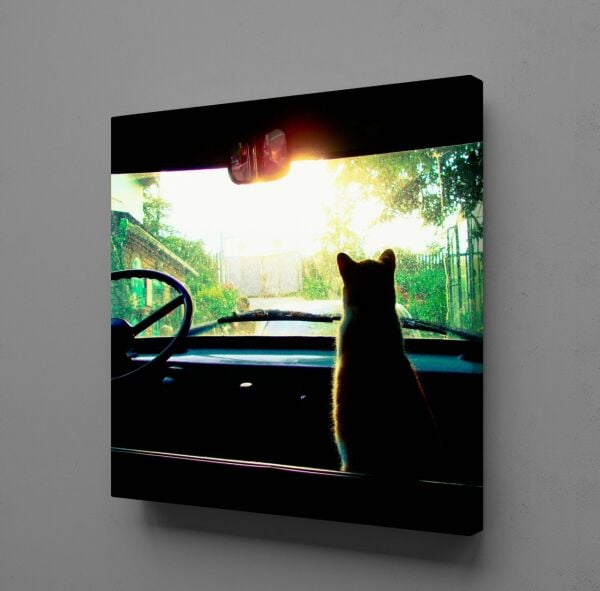 ARABADA KEDİ KANVAS TABLO