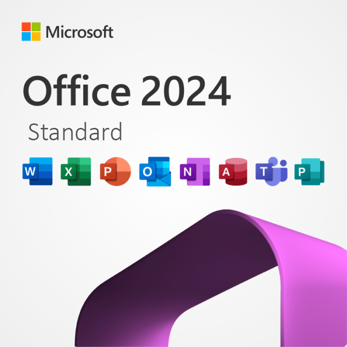 Office LTSC Standard 2024