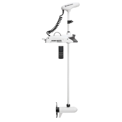 Riptide Terrova 55/WR 60'' 12v