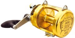 30R/WTS 2 Speed Golden Series Reel