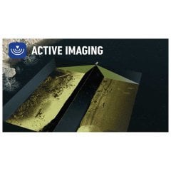 Active Imaging 3-in-1 Transducer