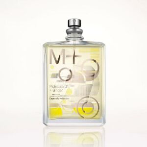 Molecules 01 + Ginger EDP 100 ml Unisex Parfüm