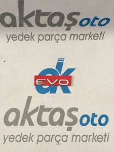 Evo Yazısı