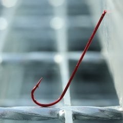 BKK Red Carlisle Bloodworm-R İğne