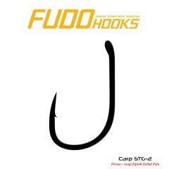 Fudo 2421 Carp STG-2 Black Nikel İğne